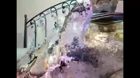 tra649167 online show from 12/23/24, 09:40