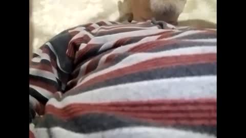 tra649167 online show from 02/09/25, 08:02