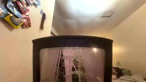 Snapshot of tracy227 chatting on 11/09/25, 10:41 tracy227 online show from 11/09/25, 10:41