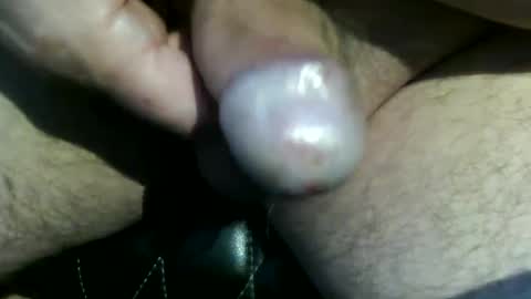 trailblazer1969 online show from 09/15/25, 09:48