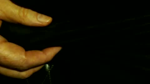 trailblazer1969 online show from 10/08/25, 03:59