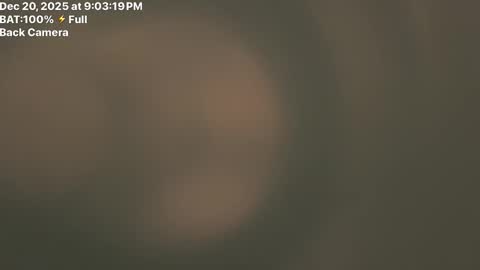 Snapshot of trancemaster90900 chatting on 12/21/25, 03:02 Fembttom online show from 12/21/25, 03:02