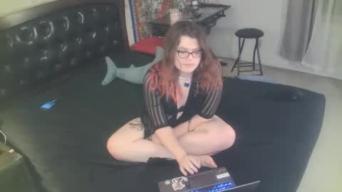 Snapshot of tranicpixiedreamgrl chatting on 11/25/25, 02:00 tranicpixiedreamgrl online show from 11/25/25, 02:00