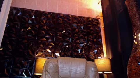 transpornidol online show from 02/15/25, 06:44