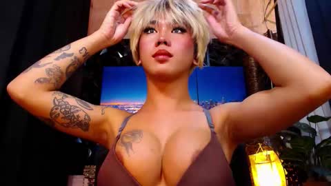 transpornidol online show from 12/18/25, 06:03