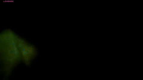 TRAVIS. online show from 11/13/25, 07:13