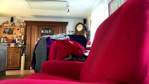 Snapshot of trebgeis1 chatting on 02/18/25, 11:44 trebgeis1 online show from 02/18/25, 11:44