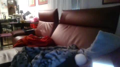 Snapshot of trebgeis1 chatting on 04/19/26, 03:39 trebgeis1 online show from 04/19/26, 03:39