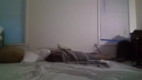 Snapshot of trickquestion chatting on 02/08/25, 11:44 trickquestion online show from 02/08/25, 11:44