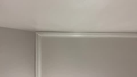 WapBopper online show from 12/24/24, 09:17