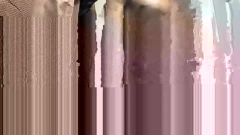 WapBopper online show from 02/02/25, 01:55