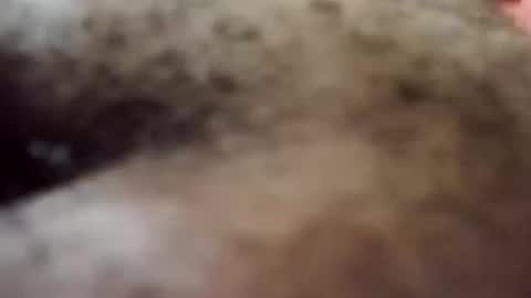 Snapshot of trinislim1868 chatting on 10/08/25, 09:34 Antique-Shirt2516 online show from 10/08/25, 09:34