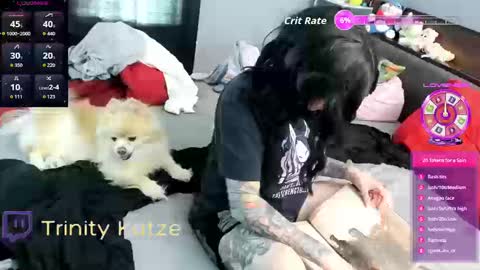 Snapshot of trinitykatze chatting on 09/26/25, 08:02 Trin Kat pet online show from 09/26/25, 08:02