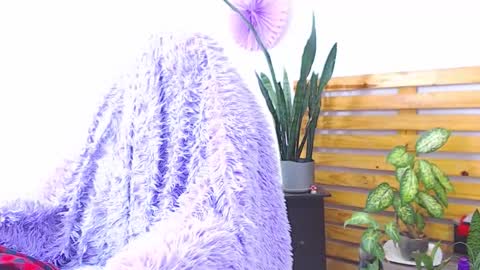 Snapshot of trix_fiore_oficial chatting on 02/01/26, 06:34 Trix online show from 02/01/26, 06:34