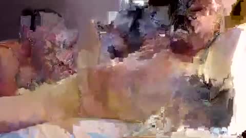 Snapshot of trojanswingers chatting on 02/11/25, 05:29 trojanswingers online show from 02/11/25, 05:29