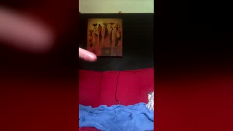 troupin online show from 06/07/26, 05:55