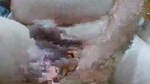 troy1965 online show from 02/23/26, 04:32