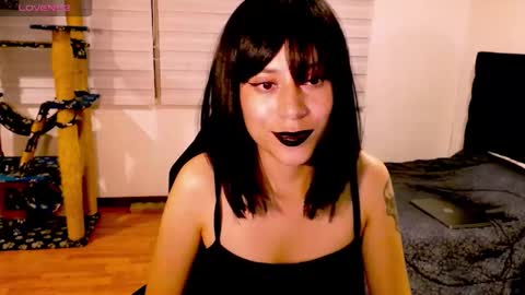 Snapshot of tryp666 chatting on 11/29/25, 07:22 Cait online show from 11/29/25, 07:22