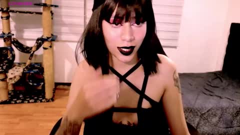 Snapshot of tryp666 chatting on 12/20/25, 04:41 Cait online show from 12/20/25, 04:41