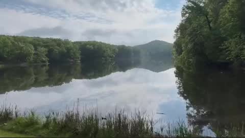 Snapshot of trystoph chatting on 02/21/26, 01:56 Treistoph online show from 02/21/26, 01:56