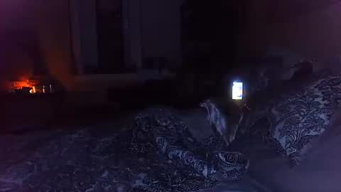 Amber White online show from 10/29/25, 03:20