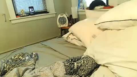 Amber White online show from 02/01/26, 02:37