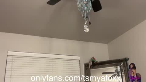 Snapshot of tsfoxx chatting on 12/11/24, 12:34 tsfoxx online show from 12/11/24, 12:34