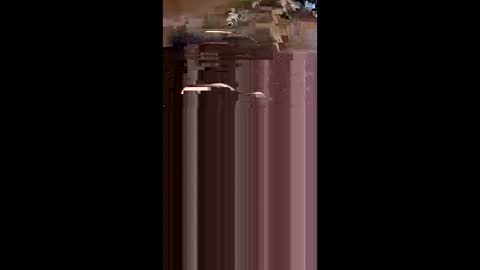tshull0009 online show from 04/01/26, 06:05