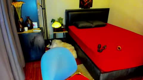 Kylee-  will make your  day  online show from 05/13/26, 06:11
