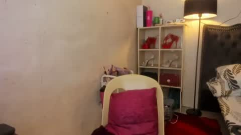 Snapshot of tsvanilla chatting on 01/23/25, 11:58 Frankie online show from 01/23/25, 11:58