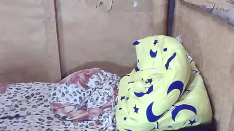 Snapshot of tswinterlily69 chatting on 12/29/24, 02:38 carmella online show from 12/29/24, 02:38