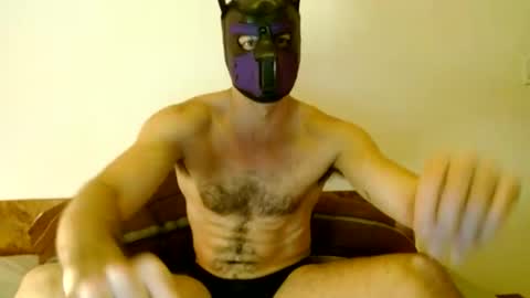 Snapshot of tuck_the_pup chatting on 08/01/26, 06:23 Tuck online show from 08/01/26, 06:23