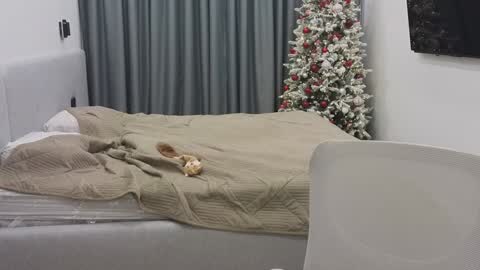 Ariana online show from 12/30/24, 12:11