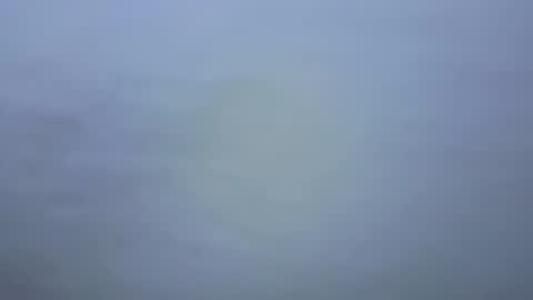 Ariana online show from 01/09/26, 07:04