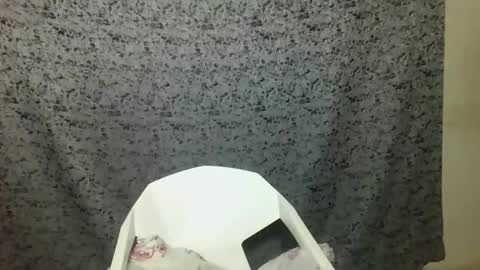 twerker_lyly online show from 10/07/25, 07:00