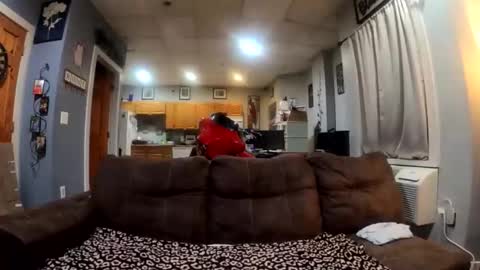 Snapshot of twicethetease2 chatting on 02/08/26, 07:34 twicethetease2 online show from 02/08/26, 07:34