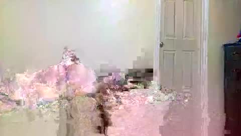 Snapshot of twinflamecaps chatting on 04/09/26, 08:20 twinflamecaps online show from 04/09/26, 08:20