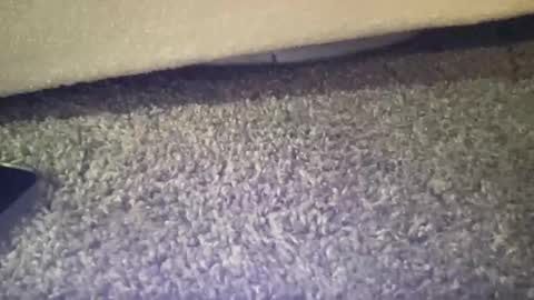 twinkgabe online show from 02/16/26, 04:03