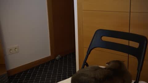 twinksweetlovehot online show from 12/05/24, 05:06