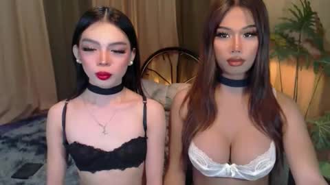 Snapshot of twinktransshanel chatting on 10/06/25, 04:21 twinktransshanel online show from 10/06/25, 04:21