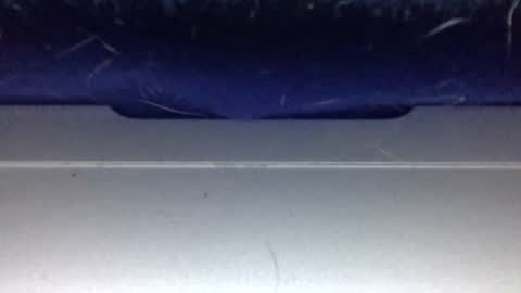 twinkybell online show from 08/07/26, 02:13