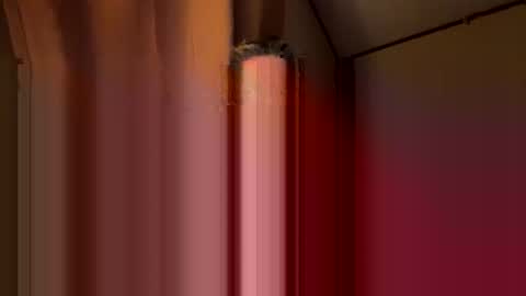 Snapshot of twosmallholes42 chatting on 03/01/26, 04:03 twosmallholes42 online show from 03/01/26, 04:03