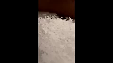 Snapshot of txcouple281 chatting on 11/16/25, 08:53 txcouple281 online show from 11/16/25, 08:53