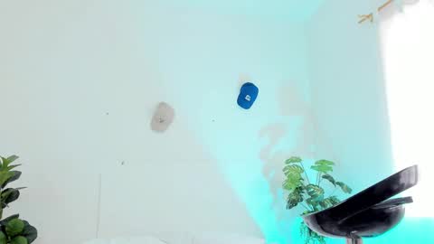 Tyler online show from 02/27/25, 06:20