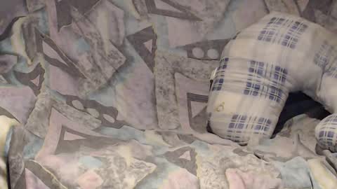 Snapshot of tyson2525 chatting on 02/02/25, 04:05 Helena and Tyson online show from 02/02/25, 04:05