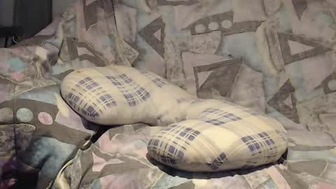 Snapshot of tyson2525 chatting on 11/09/25, 04:11 Helena and Tyson online show from 11/09/25, 04:11