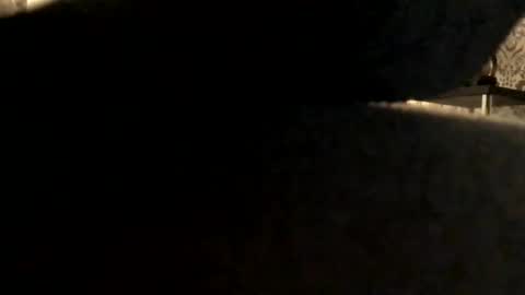 ukcock699196923 online show from 11/02/25, 05:04