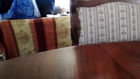patricia online show from 07/03/26, 12:22