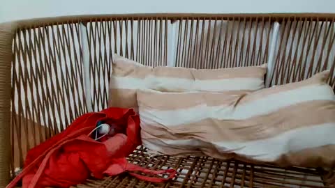 Snapshot of underground33 chatting on 01/16/25, 08:57 Under  Huge cock with beautiful uncut foreskin online show from 01/16/25, 08:57