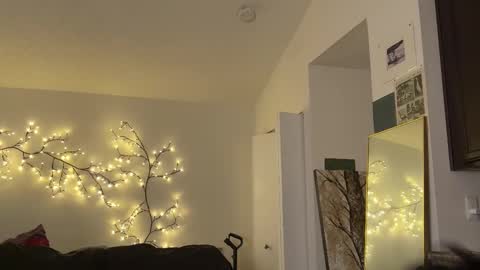 Snapshot of unhingedwang chatting on 11/21/25, 11:47 wang online show from 11/21/25, 11:47